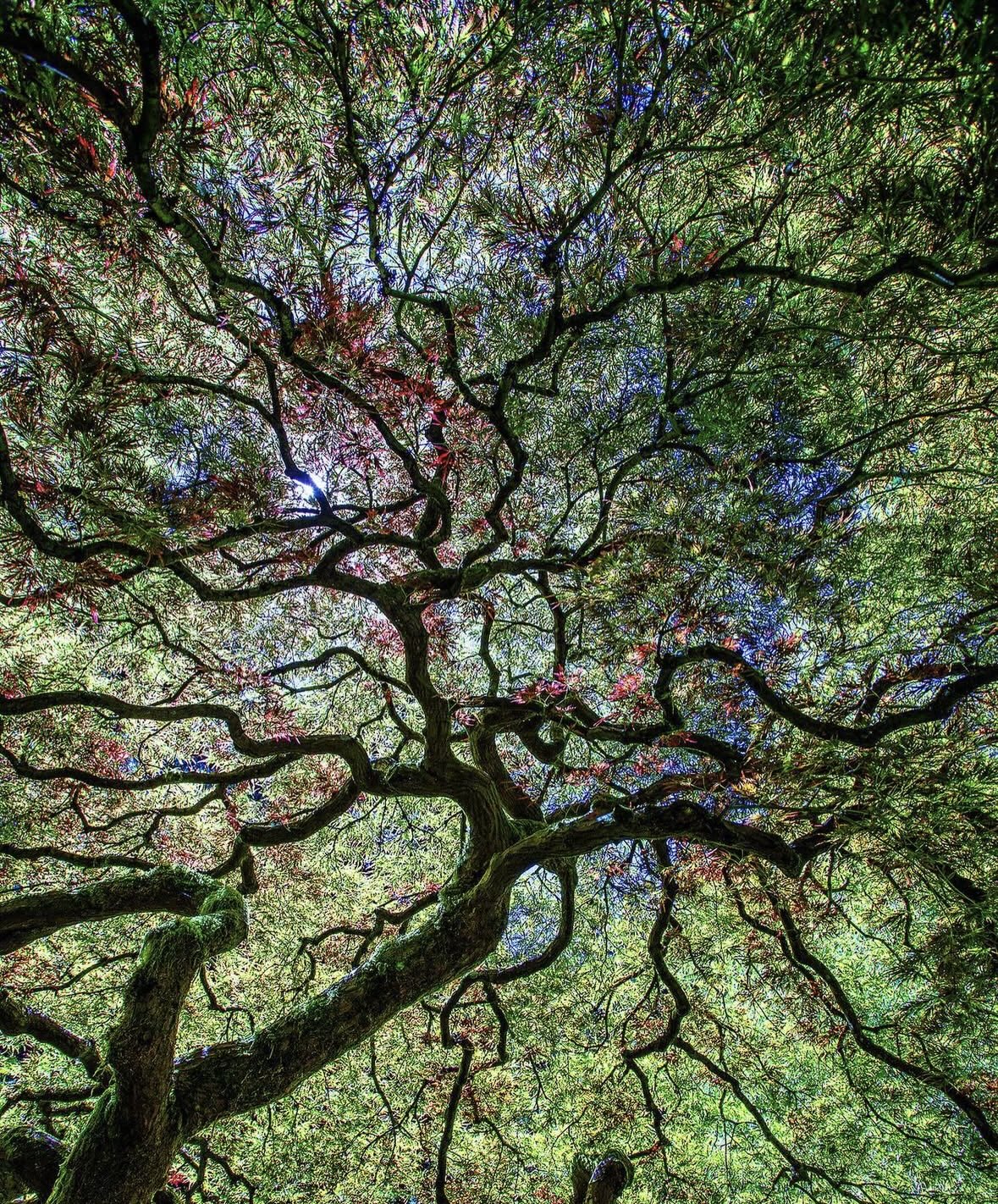 Travel photo from Berea