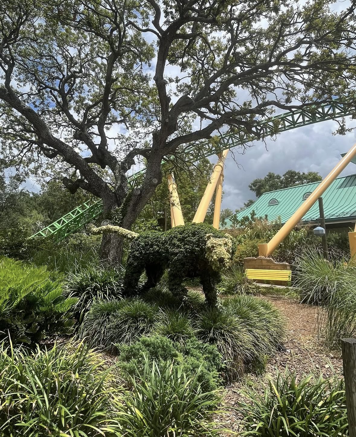 Travel photo from Orlando