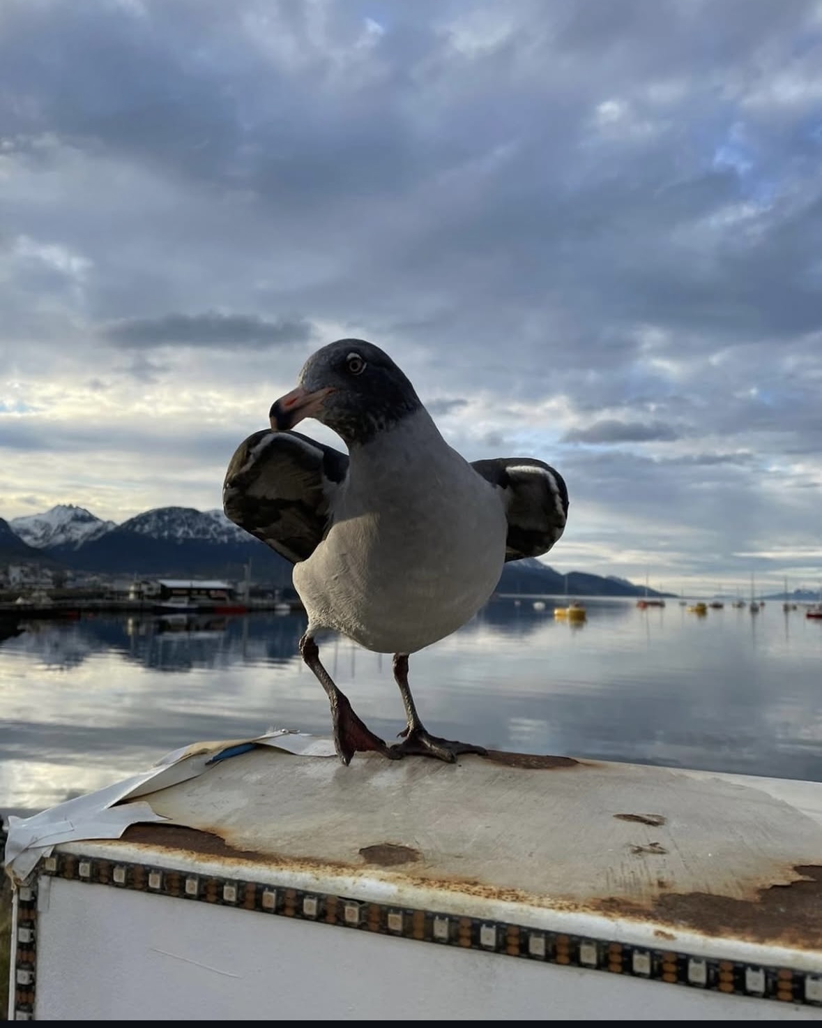 Travel photo from Ushuaia
